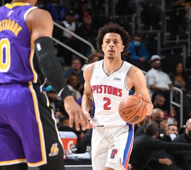 皇家社会的 皇家社会的