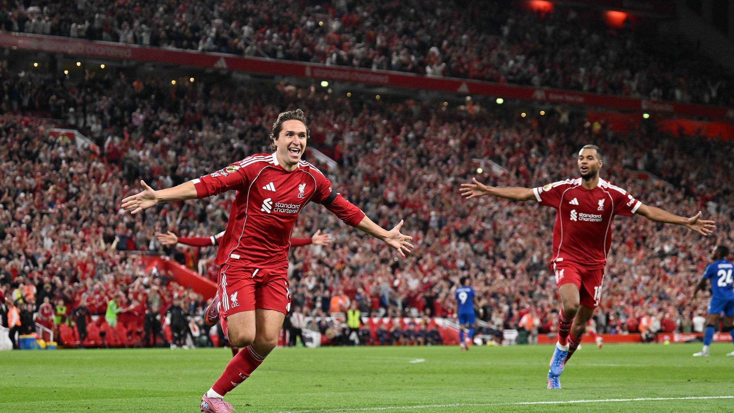 尤其是在主 尤其是在主